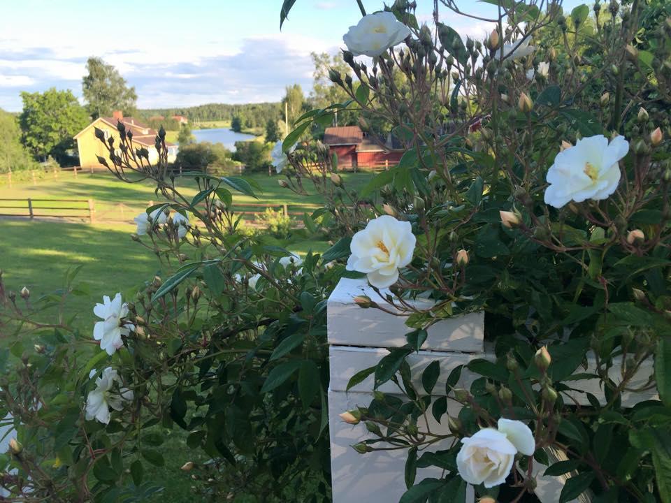 Tukkilan Tila Bed and Breakfast Πόρβο Εξωτερικό φωτογραφία